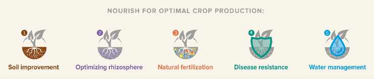 Liquid Fertilizers Nourish