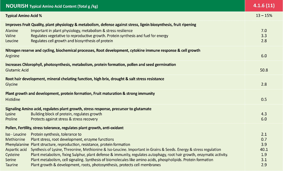 Nourish 416 (11) Buds, Flowers & Fruit