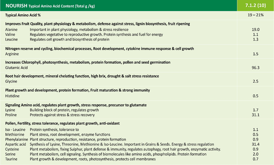 Nourish 712 (10) Leafy Greens