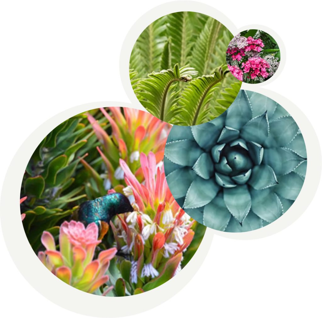 Talborne Urban Organics, design, marketing, distribution, natural, eco friendly ingredients, organic landscaping, ecological, soil health, plant health, mitigate use of toxic products, urban health, organic products for retail chain stores, organic training, organic training centre, landscapers training, johannesburg, gauteng, near me