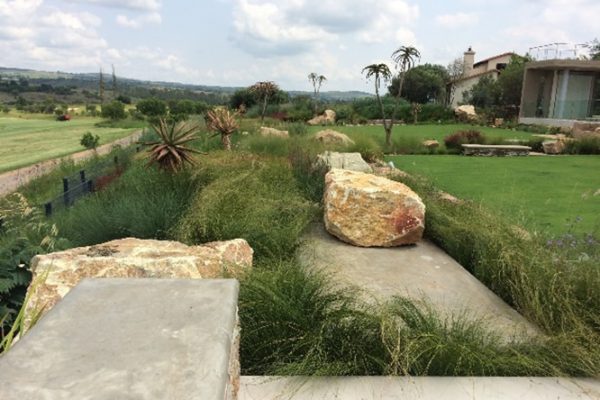 Talborne Urban Organics, design, marketing, distribution, natural, eco friendly ingredients, organic landscaping, ecological, soil health, plant health, mitigate use of toxic products, urban health, organic products for retail chain stores, organic training, organic training centre, landscapers training, johannesburg, gauteng, near me