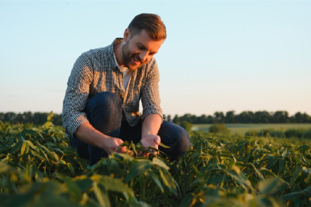 Farming Focus