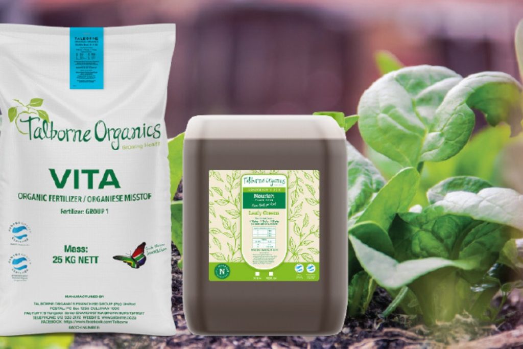 Seasonal Product Focus